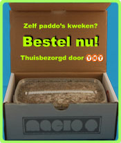 Paddos kweekset kopen