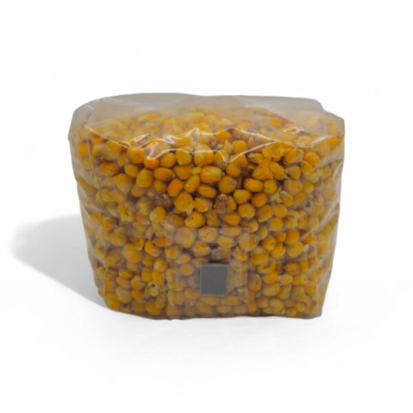 Sterile corn spawn bag