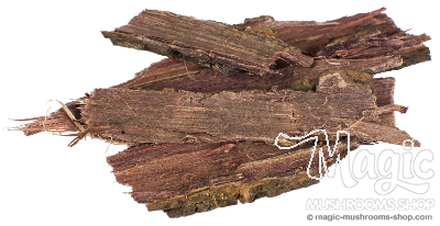 Mimosa Tree Bark Dmt