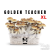 Photo Mondo® Grow Kit Golden Teacher XL