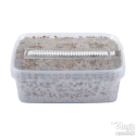 Short Dated Magic Mushroom Grow Kit