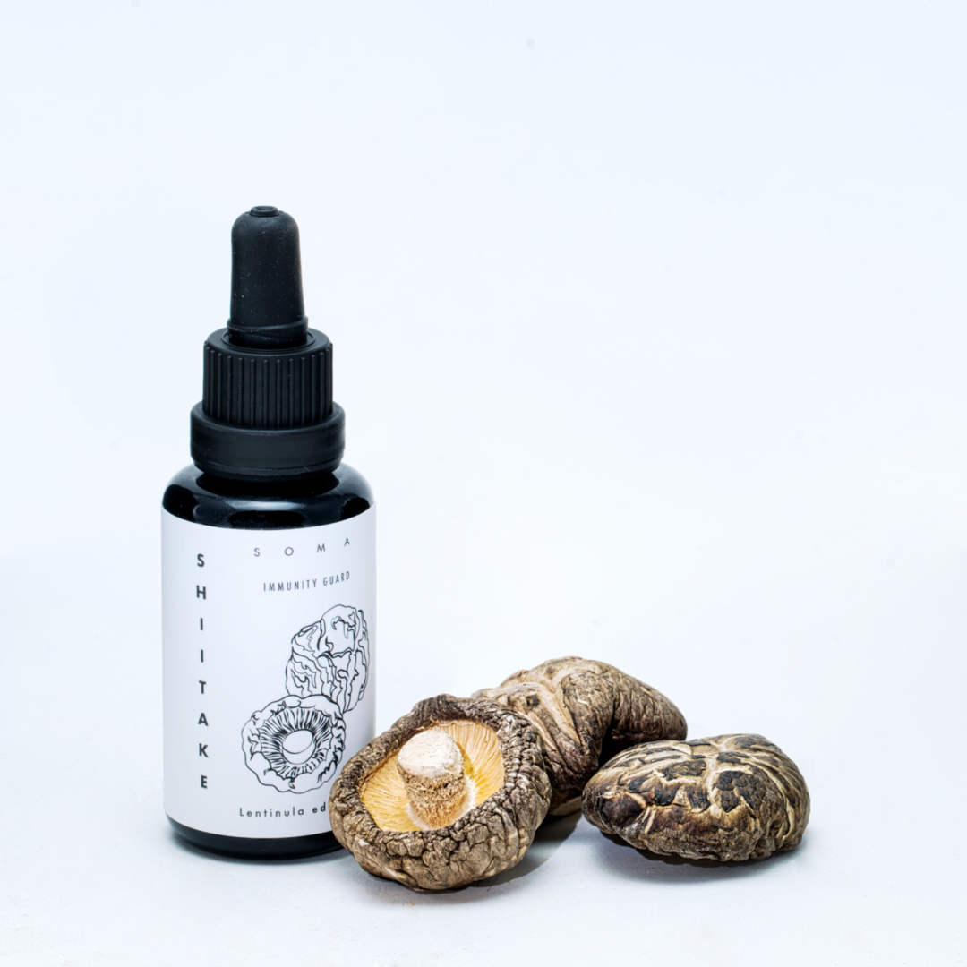Shiitake tincture