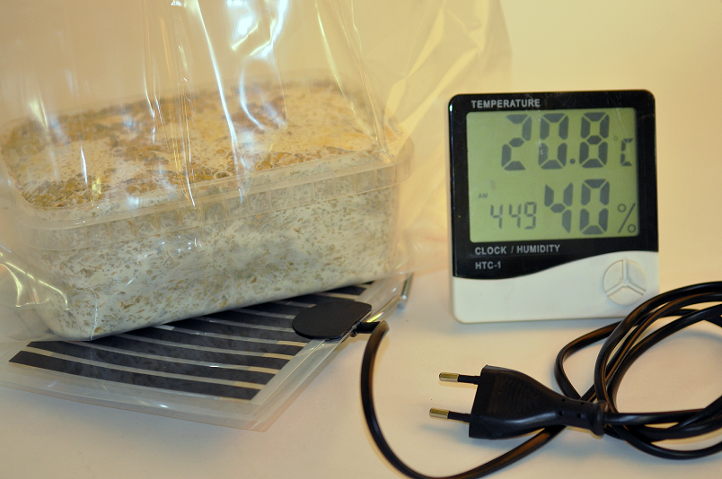 Magic Mushroom Hygrometer / Thermometer