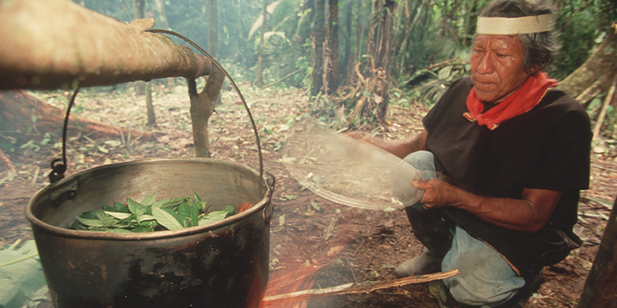 A shaman in the Coafan region boils leaves for their psychoactive proporties as used in ayahuasca, Ecuador, 2009. (Photo by Wade Davis/Getty Images)