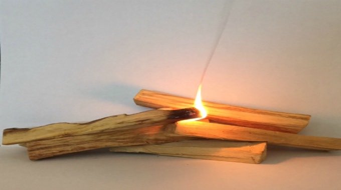 burn palo santo wood to get it's great smell