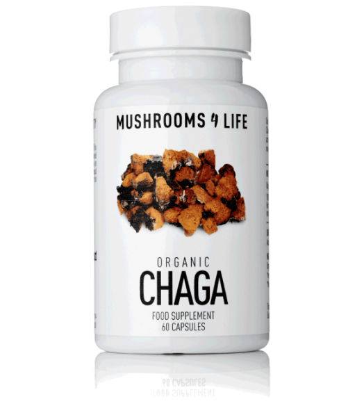 chaga mushrooms 4 life