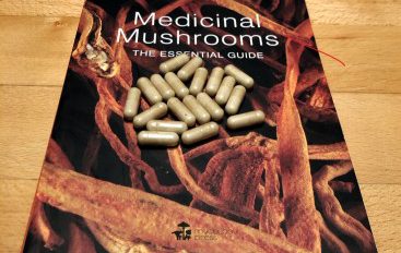 How to boost your immune system with medicinal mushroom supplements?