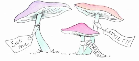 The healing power of magic mushrooms (psilocybin)