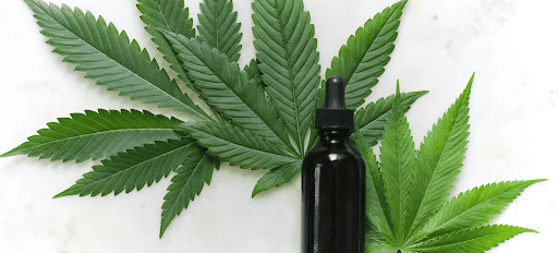 Exploring the World of CBD ─ Forms, Uses & Benefits