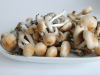 Picked magic mushrooms from grow kit